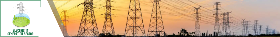 Electricity Generation sector